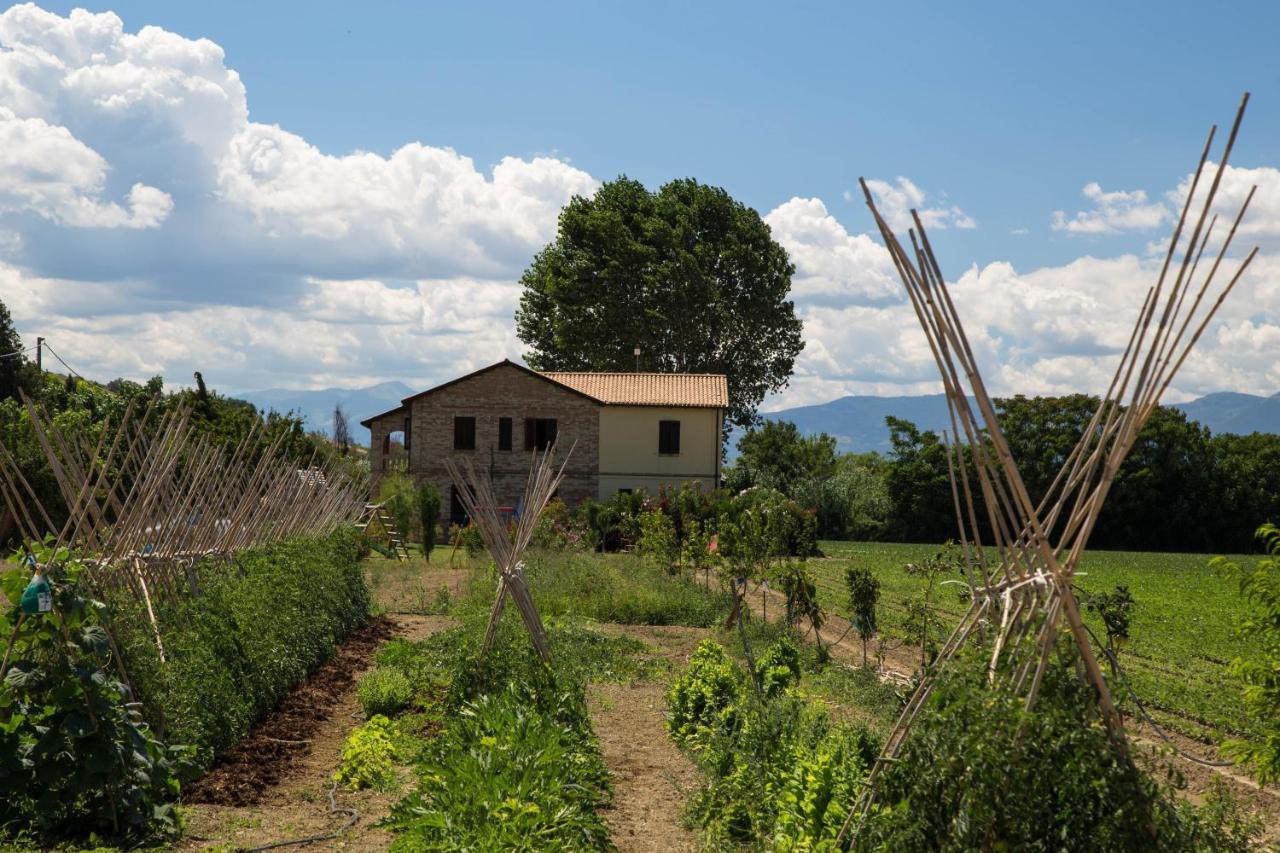 Agriturismo Terralieta Розето-дельї-Абруцці Екстер'єр фото